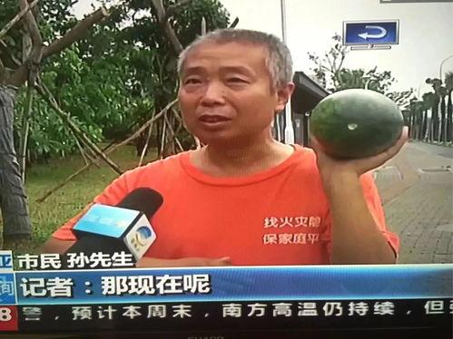 上饶吃瓜群众事件最新,真相与反思