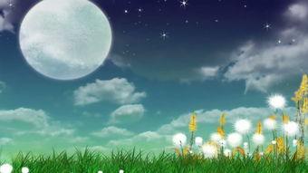 草原的月亮网红舞,网红舞蹈引领潮流