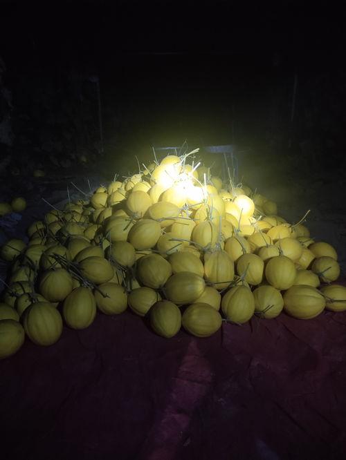 河南蜜瓜怎么吃,解锁夏日清新口感