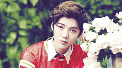 唱歌明星鹿晗,音乐梦想的舞者，青春偶像的旋律传奇