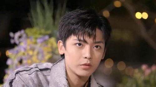 十六岁的男明星,十六岁男明星的璀璨星途