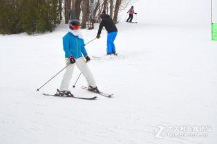 blue滑雪吃瓜,一场别开生面的“吃瓜”盛宴