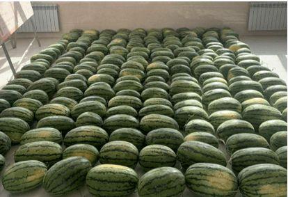 青州今日吃瓜新闻,今日热点新闻回顾