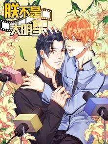 朕不是大明星 肉,揭秘宫廷中的神秘肉食传奇