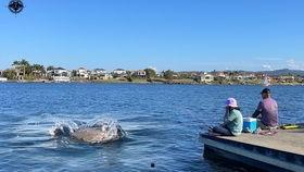 秋名山吃瓜专家,揭秘娱乐圈幕后风云