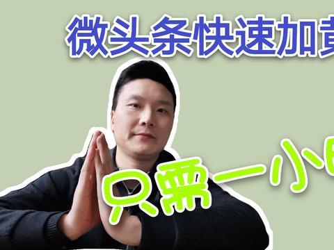 头条浩,揭秘科技巨头背后的创新力量